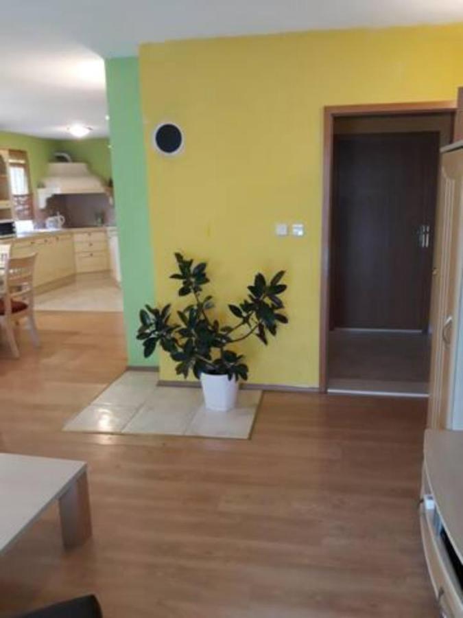 Apartments Hajdi 珀德垂那 外观 照片